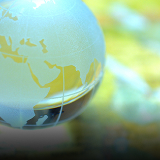 Global Organization