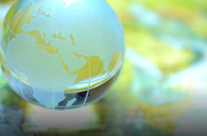 Global Organization